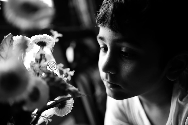 3_FlowerMe_Nikon35mm_VUE