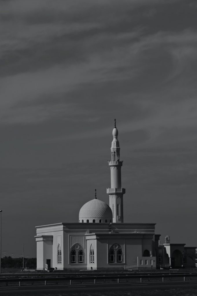 2-mono-bw