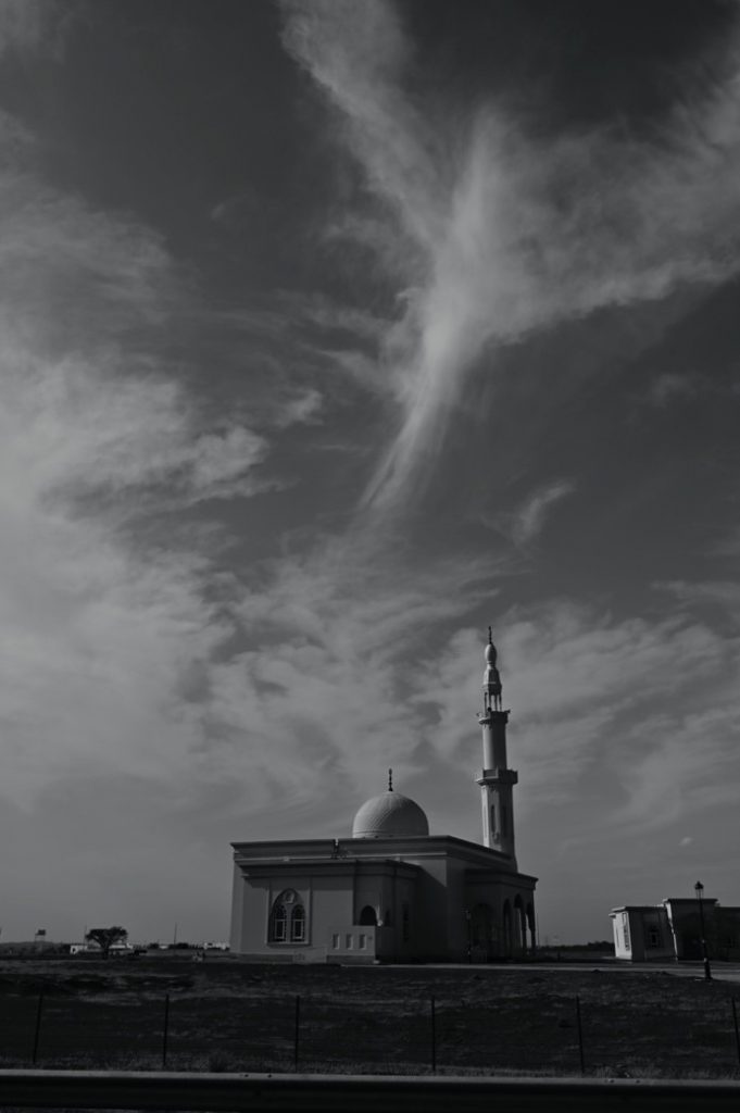mono-bw-vue