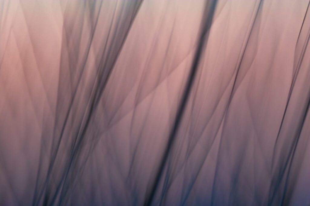 5_vue