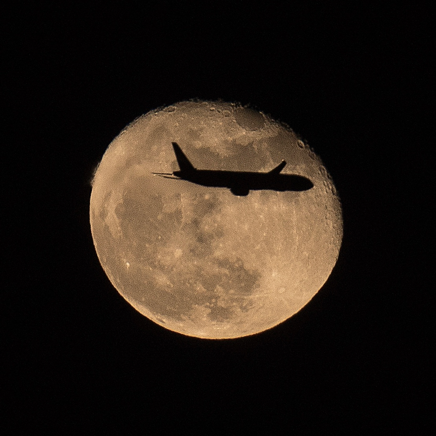 vue-moon